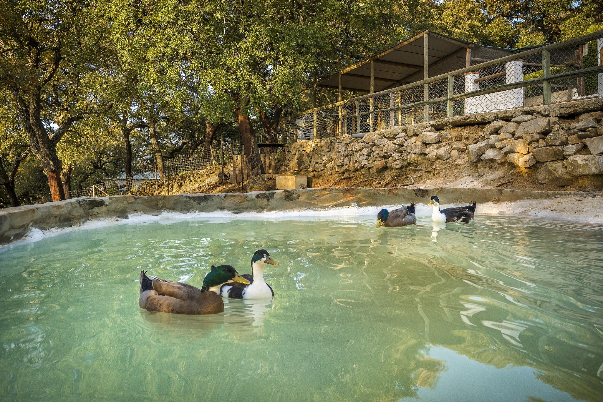 Hotel Fuerte Грасалема Екстер'єр фото