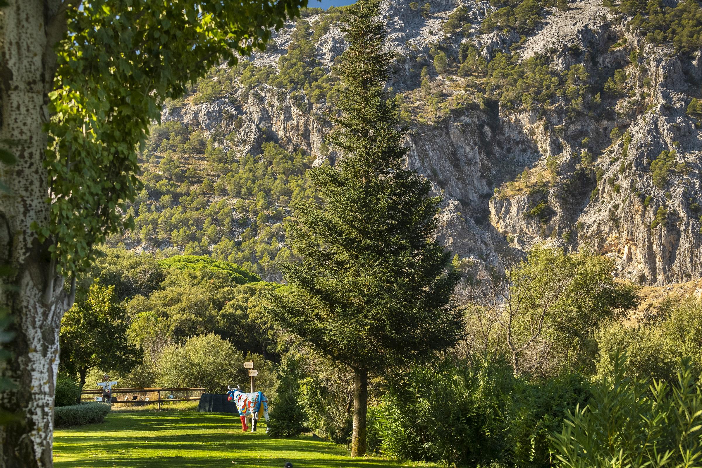 Hotel Fuerte Грасалема Екстер'єр фото