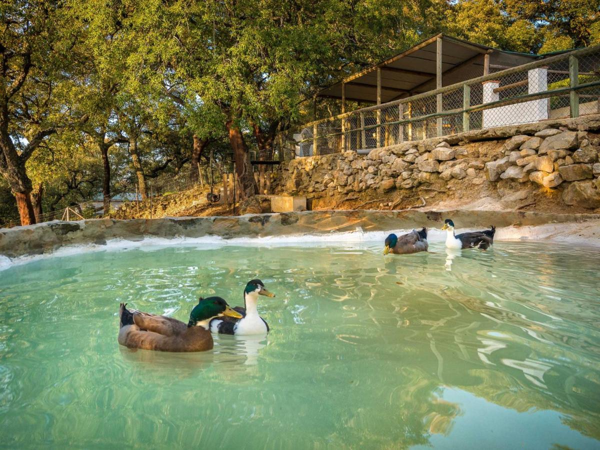 Hotel Fuerte Грасалема Екстер'єр фото